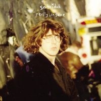 Sentridoh - Really Insane : A Lou Barlow Compen in der Gruppe UNSERE TIPPS / Freitagsveröffentlichungen / Freitag der 15 November 2024 bei Bengans Skivbutik AB (5568524)