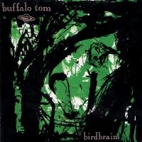 Buffalo Tom - Birdbrain in der Gruppe UNSERE TIPPS / Freitagsveröffentlichungen / Freitag den 8 November 2024 bei Bengans Skivbutik AB (5569207)