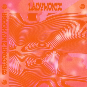 Ladymonix - Welcome 2 My House in der Gruppe VINYL / Elektroniskt bei Bengans Skivbutik AB (5571804)