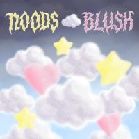 Noods - Blush in der Gruppe Pop-Rock bei Bengans Skivbutik AB (5572606)