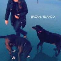 Bazan David - Blanco in der Gruppe Pop-Rock bei Bengans Skivbutik AB (5572727)