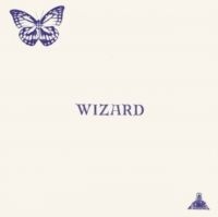 Wizard - Wizard in der Gruppe UNSERE TIPPS / Startsida - Vinyl Nyheter & Kommande bei Bengans Skivbutik AB (5573585)