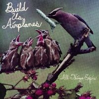 Build Us Airplanes - All Things Expire in der Gruppe VINYL / Kommande / Pop-Rock bei Bengans Skivbutik AB (5576415)