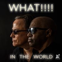 What!!!! - In The World in der Gruppe CD / Kommande / Pop-Rock bei Bengans Skivbutik AB (5576511)