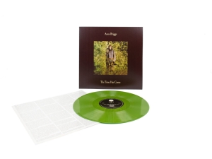 Briggs Anne - The Time Has Come (Green Vinyl) in der Gruppe UNSERE TIPPS / Freitagsveröffentlichungen / 2025-01-31 bei Bengans Skivbutik AB (5579115)