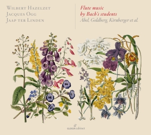 Wiebert Hazelzet - Flute Music By Bach’S Students in der Gruppe CD / Klassiskt bei Bengans Skivbutik AB (5579334)