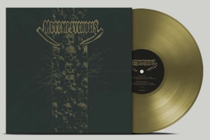 Metempsychosis - Metempsychosis (Gold Vinyl) (Rsd2025) in der Gruppe UNSERE TIPPS / Record Store Day / RSD 2025 bei Bengans Skivbutik AB (5582308)