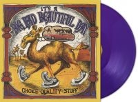 Its A Beautiful Day - Choice Quality Stuff (Purple Vinyl in der Gruppe UNSERE TIPPS / Freitagsveröffentlichungen / 2025-03-14 bei Bengans Skivbutik AB (5584479)