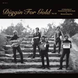 Various Artists - Diggin' For Gold Vol. 12 in der Gruppe VINYL / Pop-Rock bei Bengans Skivbutik AB (589775)