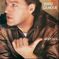 DAVID GILMOUR - ABOUT FACE in der Gruppe UNSERE TIPPS / Weihnachtsgeschenktipp CD bei Bengans Skivbutik AB (618028)