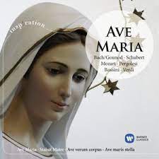 Various - Ave Maria in der Gruppe UNSERE TIPPS / Weihnachtsgeschenktipp CD bei Bengans Skivbutik AB (623951)