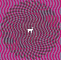 Deerhunter - Cryptograms in der Gruppe CD / Pop-Rock bei Bengans Skivbutik AB (629882)