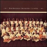 Bob Brozman Orchestra - Lumière in der Gruppe CD / Elektroniskt,World Music bei Bengans Skivbutik AB (647272)