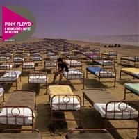 PINK FLOYD - A MOMENTARY LAPSE OF REASON in der Gruppe UNSERE TIPPS / Weihnachtsgeschenktipp CD bei Bengans Skivbutik AB (657070)