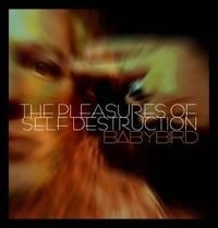 Babybird - Pleasure Of Self Destruction in der Gruppe CD / Pop-Rock bei Bengans Skivbutik AB (671576)