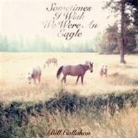 Callahan Bill - Sometimes I Wish We Were An Eagle in der Gruppe CD / Pop-Rock bei Bengans Skivbutik AB (695781)