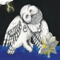 Songs: Ohia - Magnolia Electric Co. (Deluxe Ed.) in der Gruppe UNSERE TIPPS / Weihnachtsgeschenktipp Vinyl bei Bengans Skivbutik AB (780812)