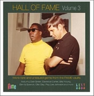 Various Artists - Hall Of Fame Volume 3 in der Gruppe CD / Pop-Rock bei Bengans Skivbutik AB (953822)