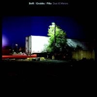 Belfi/Grubbs/Pilia - Dust & Mirrors in der Gruppe VINYL / Pop-Rock bei Bengans Skivbutik AB (956332)