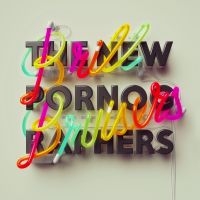 The New Pornographers - Brill Bruisers