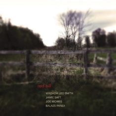 Wadada Leo Smith Jamie Saft Joe M - Red Hill