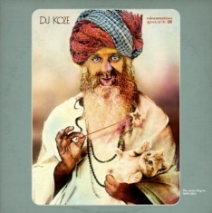 Dj Koze - Reincarnations Part 2