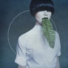 Kangding Ray - Cory Arcane