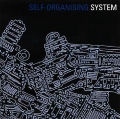 System - Self Organising System