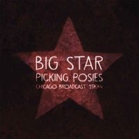 Big Star - Picking Posies