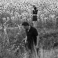 Jesu/Sun Kil Moon - Jesu/Sun Kil Moon