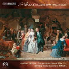 Bach / Telemann / Weiss - Secular Cantatas Vol 3 (Sacd)