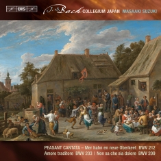 Bach J S - Secular Cantatas, Vol. 7 (Sacd)