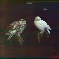 Dungen - Häxan