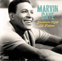 Gaye Marvin - Stubborn Kind Of Fellow