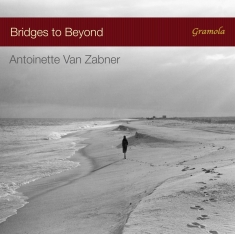 Antoinette Van Zabner - Bridges To Beyond