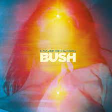 Bush - Black And White Rainbows