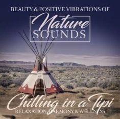 Various Artists - Chilling In A Tipi