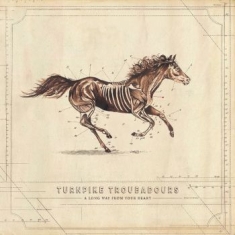 Turnpike troubadours - A Long Way From Your Heart