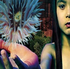 The Future Sound Of London - Lifeforms (2Lp)