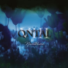 Qntal - Viii - Nachtblume