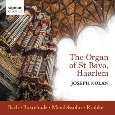 Various - The Organ Of St Bavo, Haarlem