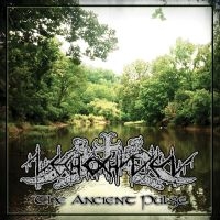 Nechochwen - The Ancient Pulse