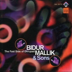 Mallik Bidur - Fast Side Of Dhrupad