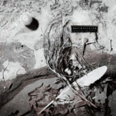 David Sylvian - Secrets Of The Beehive (Vinyl)