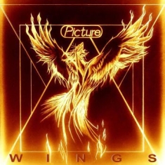 Picture - Wings