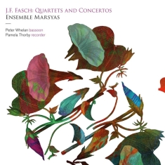 Fasch J F - Quartets And Concertos