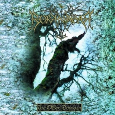 Borknagar - Olden Domain