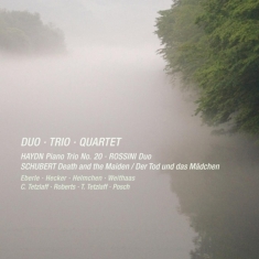 Haydn - Piano Trio In B Flat/Duo For Cello