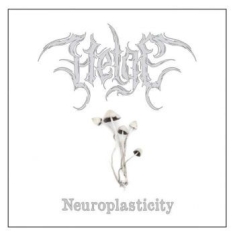 Helge - Neuroplasticity