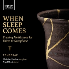 Traditional Hildegard Von Bingen - When Sleep Comes - Evening Meditati